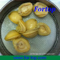 Best Quality Canned Abalone in Brine